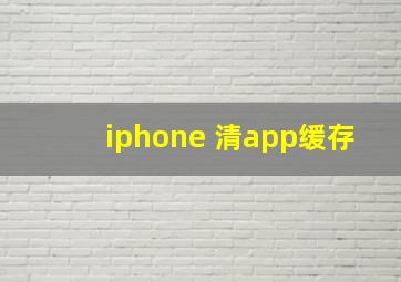 iphone 清app缓存